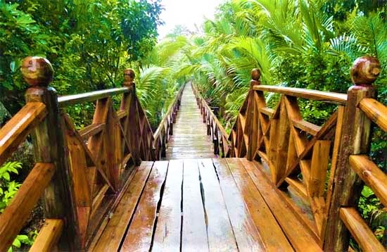 Dhaninallah Mangrove Nature Walkway Walk