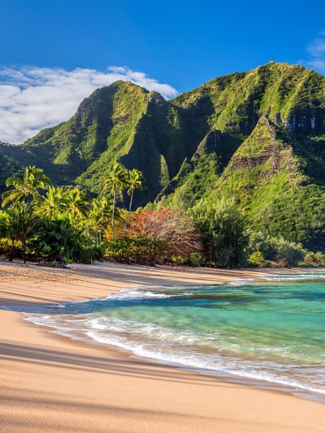 A wonderful time to visit in Hawaii USA